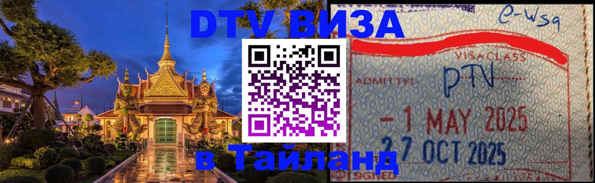 Сколько стоит DTV виза — актуальные цены, оформление даже без документов - Тирана  20.11.2025 